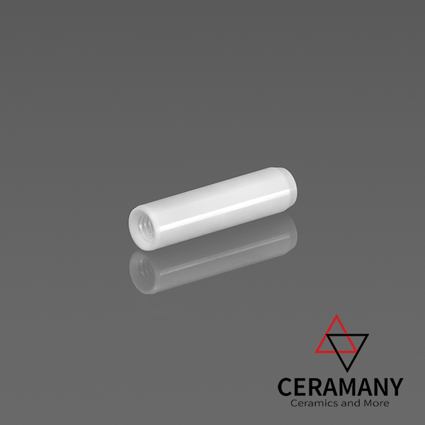 Extractable dowel pins